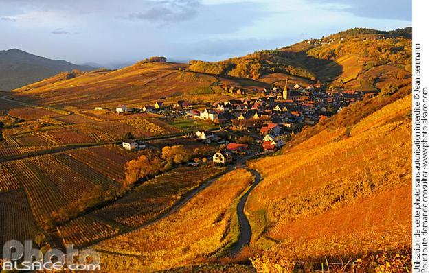 Les Vendangeurs Daire Niedermorschwihr Dış mekan fotoğraf